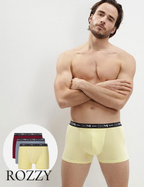 Трусы шорты мужские DIM 6596/3 лимонный/красный/серый (уп.3шт.)