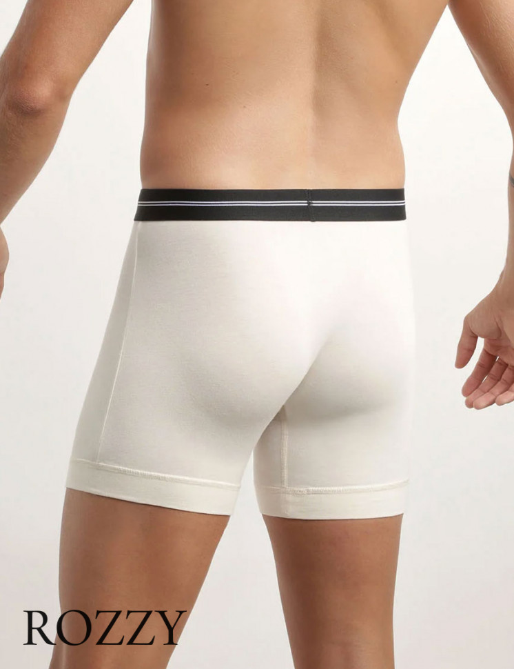 Трусы шорты мужские DIM 0DCE бежевый