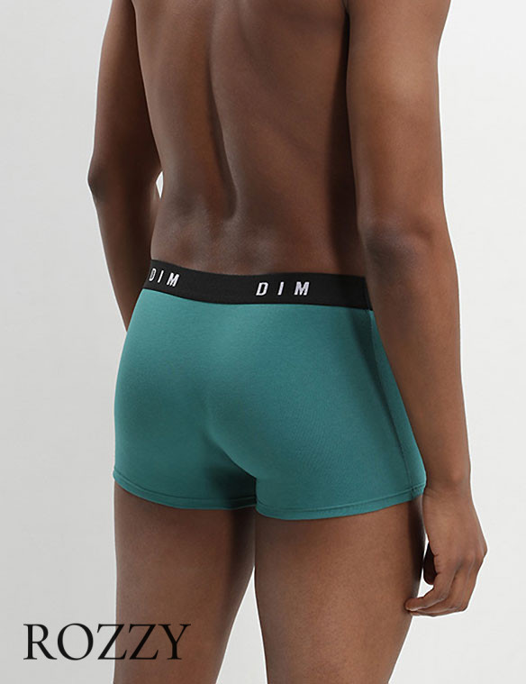 Трусы шорты мужские DIM 0ARL серый/изумрудно-зеленый (уп.2шт.)