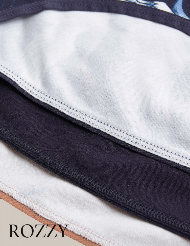 Трусы слипы хлопковые Esotiq Mia-Mia 42267 мультиколор (уп.3шт.)